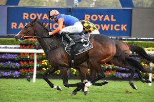 Nettoyer Horse Form (Photo: Steve Hart) | Races.com.au