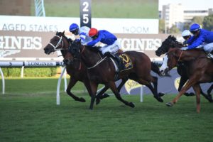 Kolding Horse Form (Photo: Steve Hart) | Races.com.au