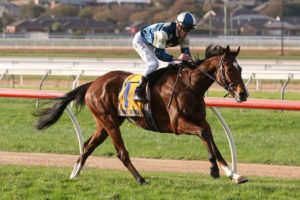 Le Don De Vie Horse Form (Photo: Ultimate Racing Photos) | Races.com.au