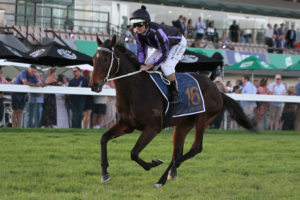 Media Award Horse Form | Photo: Jenny Barnes | Races.com.au