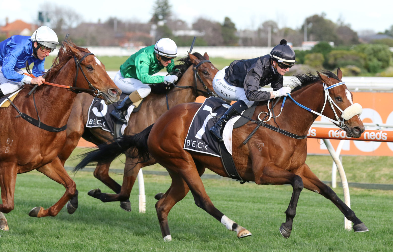 Gimmie Par Horse Form (Photo: Ultimate Racing Photos) | Races.com.au