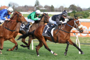 Gimmie Par Horse Form (Photo: Ultimate Racing Photos) | Races.com.au