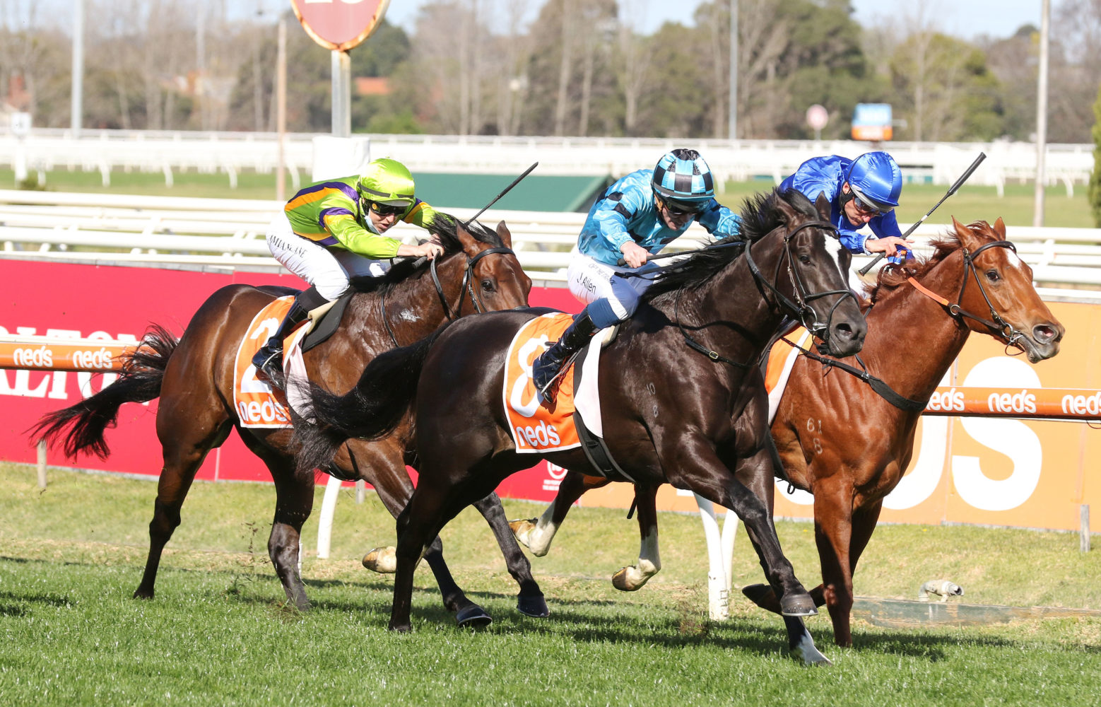 Bruckner (Photo: Ultimate Racing Photos) | Races.com.au
