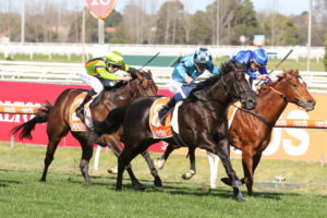 Bruckner (Photo: Ultimate Racing Photos) | Races.com.au