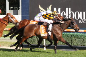 Probabeel (Photo: Ultimate Racing Photos) | Races.com.au