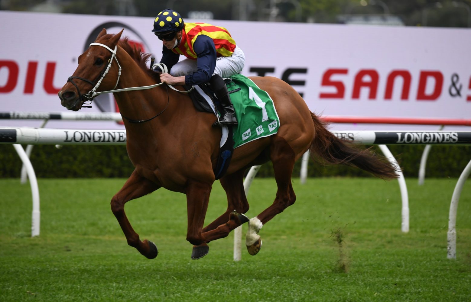 Nature Strip. Photo: Steve Hart | Races.com.au
