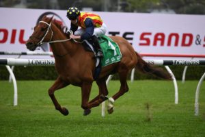 Nature Strip. Photo: Steve Hart | Races.com.au