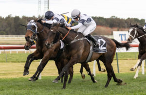 Harpo Marx | Photo: Steve Hart | Races.com.au