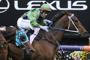 Incentivise (Photo: Ultimate Racing Photos) | HorseRacing.com.au