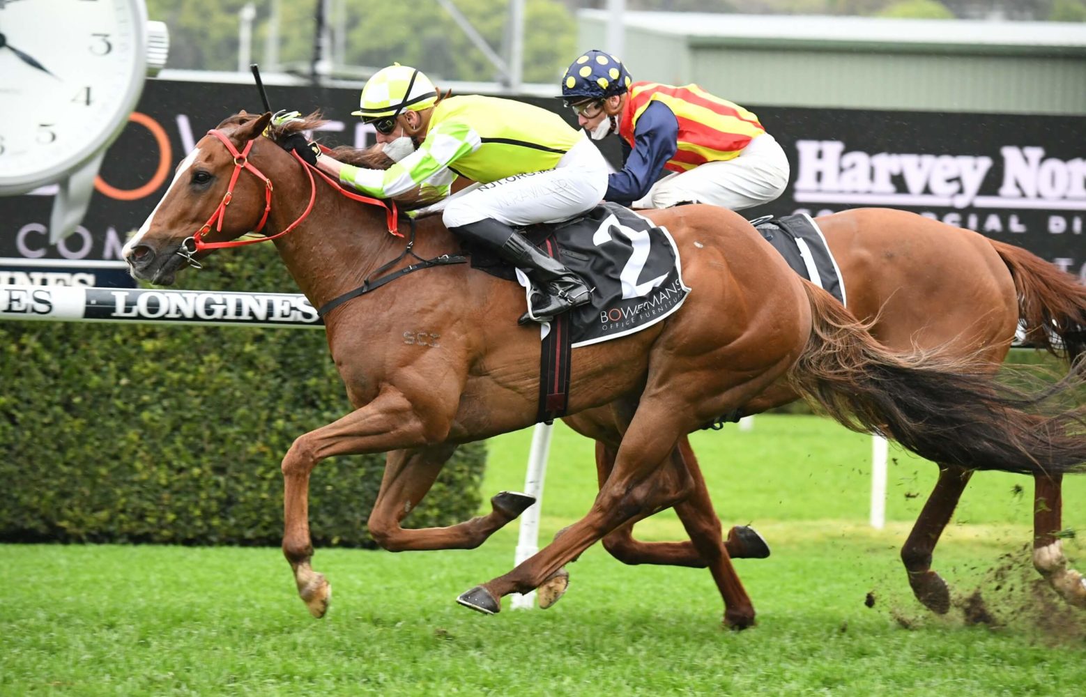 Eduardo (Photo: Steve Hart) | Races.com.au