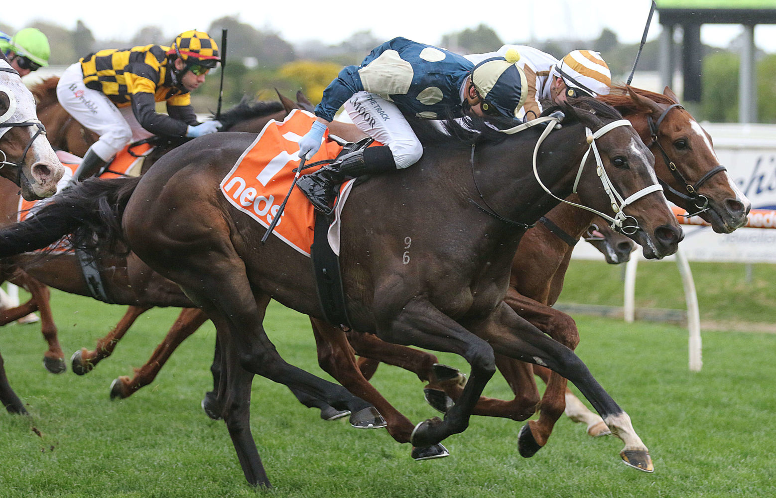 Sierra Sue (Photo: Ultimate Racing Photos) | Races.com.au