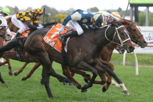Sierra Sue (Photo: Ultimate Racing Photos) | Races.com.au