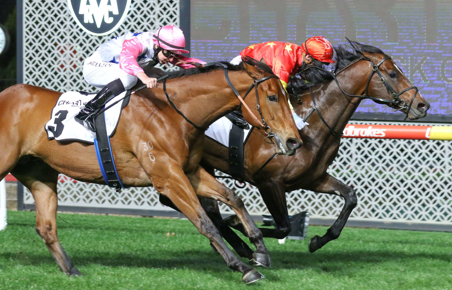 Wild Ruler (Photo: Ultimate Racing Photo) | Races.com.au