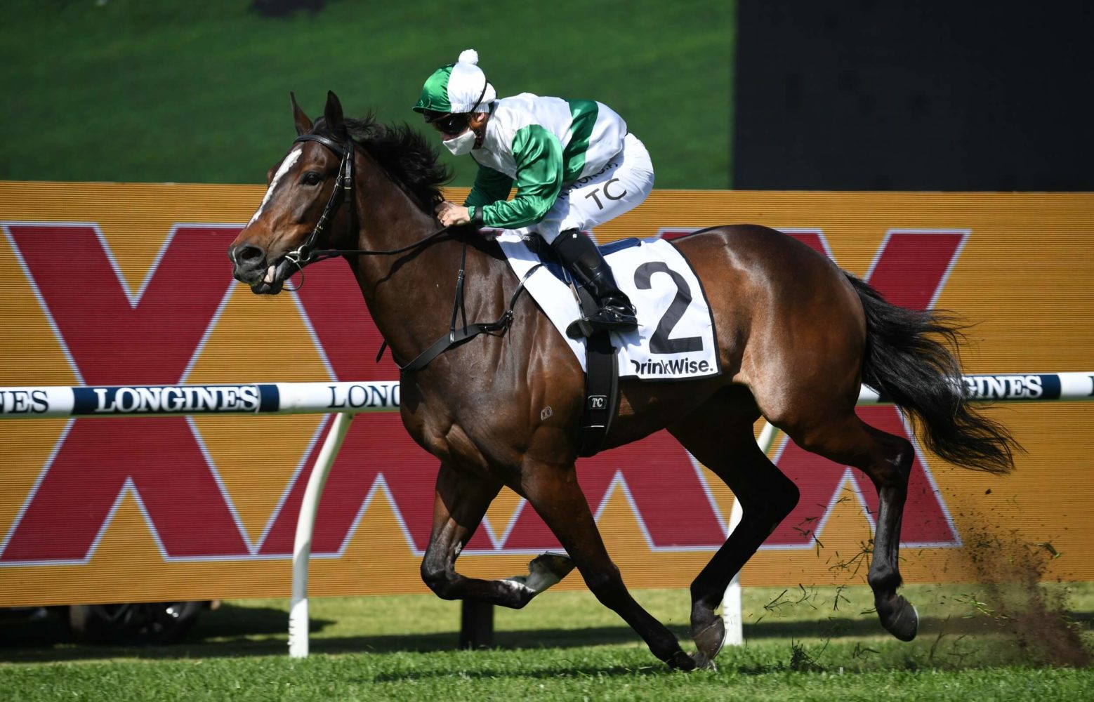 Entente (Photo: Steve Hart) | Races.com.au