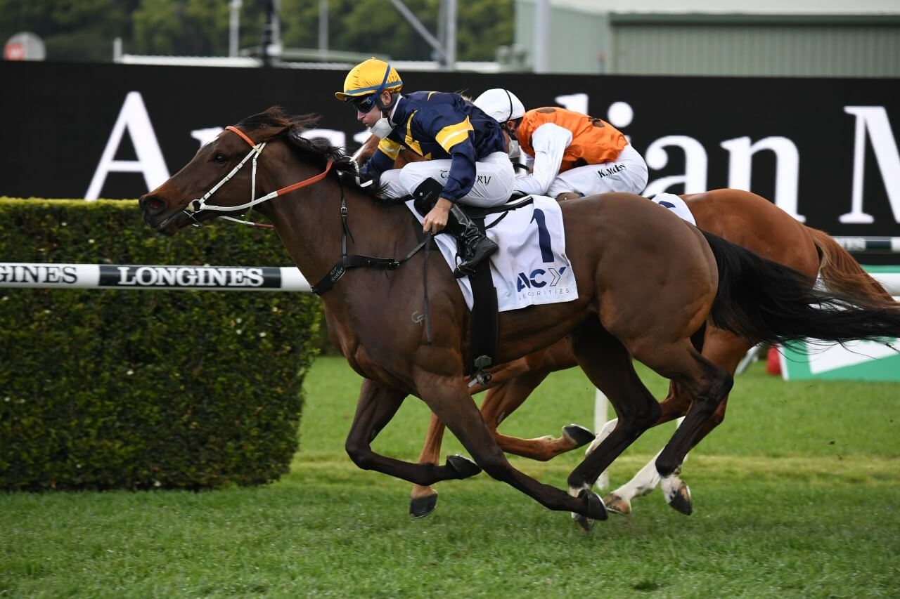 Masked Crusader (Photo: Steve Hart) | Races.com.au