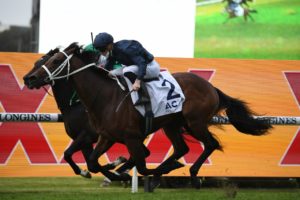 Head Of State (Photo: Steve Hart) | Horseracing.com.au