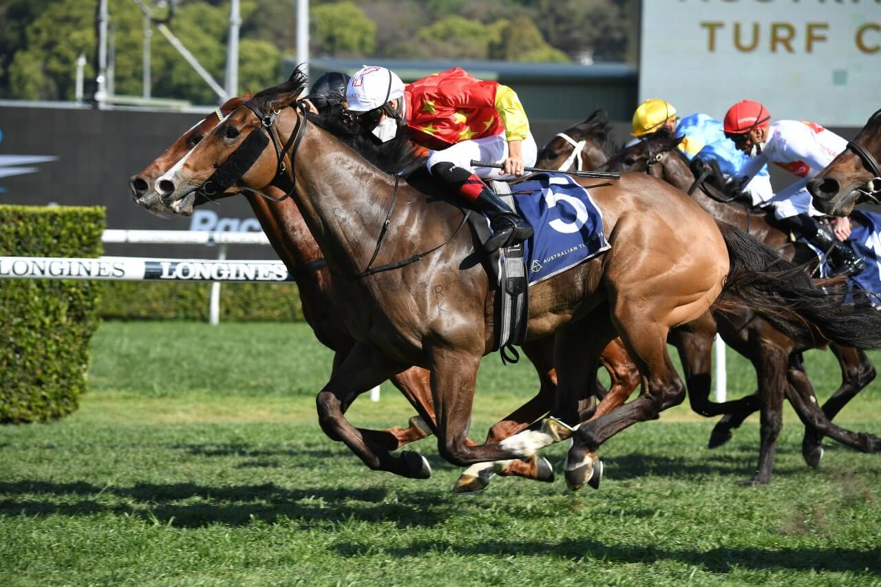 Aim (Photo: Steve Hart) | Races.com.au
