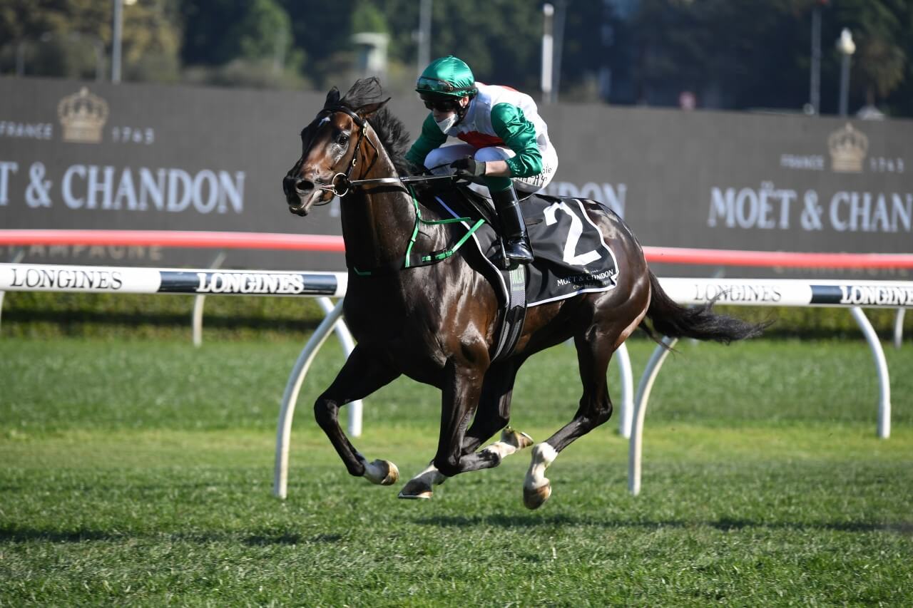 Profondo (Photo: Steve Hart) | Races.com.au