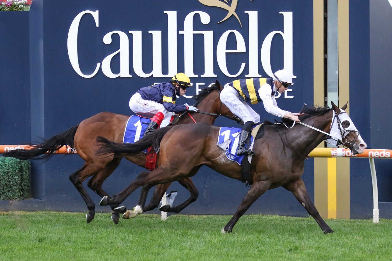 I'm Thunderstruck (Photo: Ultimate Racing Photos) | Races.com.au
