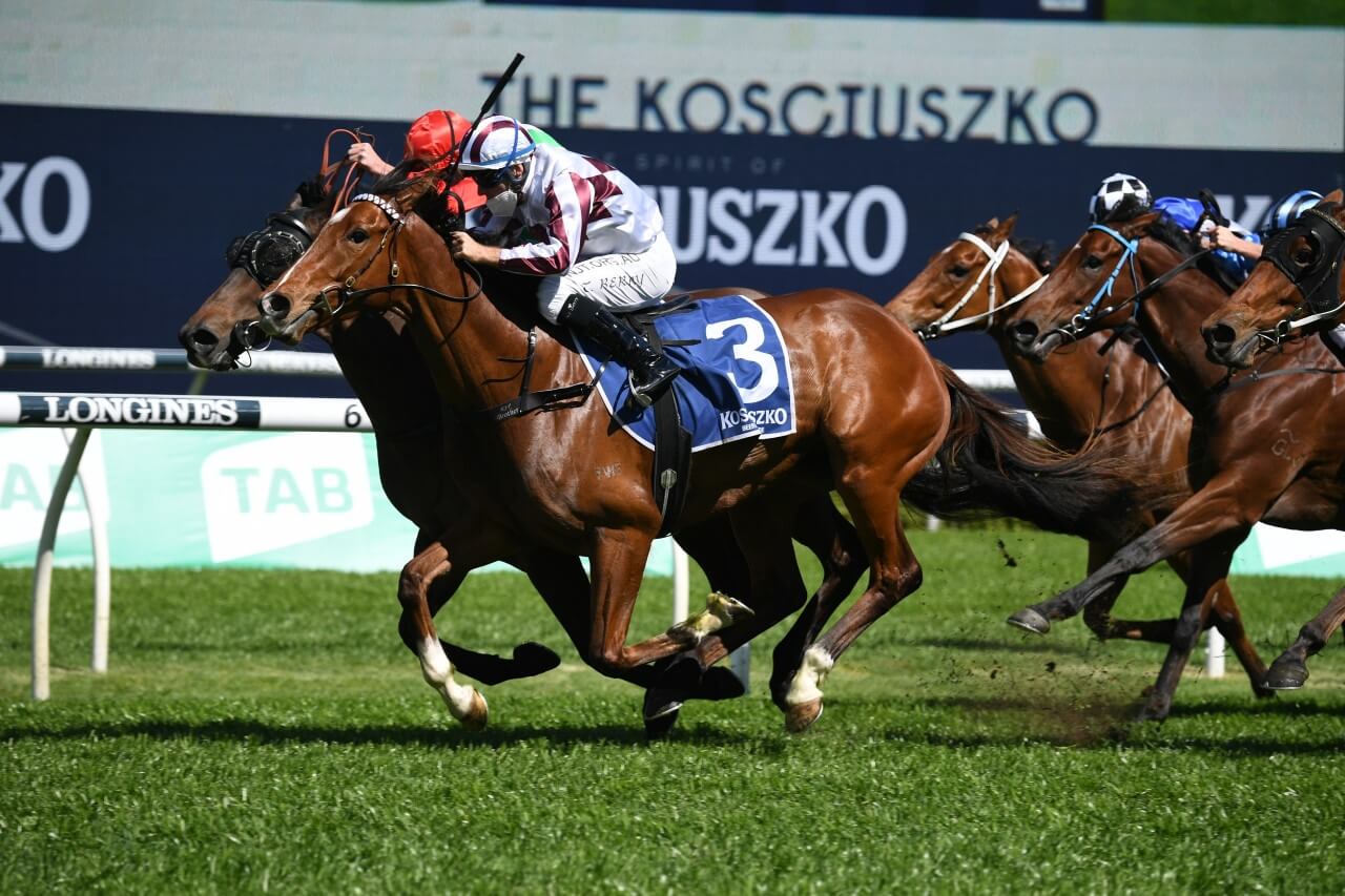 Art Cadeau (Photo: Steve Hart) | Races.com.au