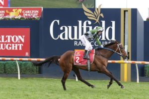 Incentivise (Photo: Ultimate Racing Photos) | Races.com.au