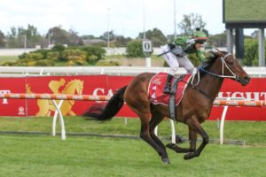 Incentivise (Photo: Ultimate Racing Photos) | Races.com.au