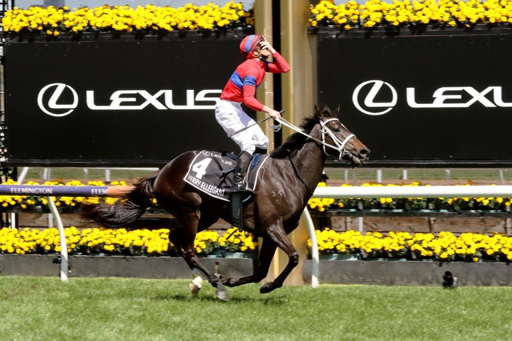 Verry Elleegant (Photo: Steve Hart) | Races.com.au