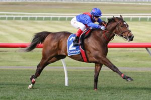 Tentyris Leads Elite Sprint Field in 2026 Black Caviar Lightning