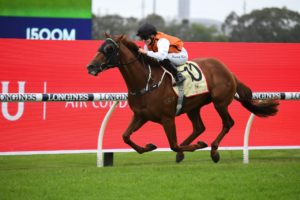Ellsberg (Photo: Steve Hart) | Races.com.au