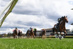 Coolangatta (Photo: Steve Hart) | Races.com.au