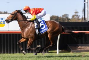 King Of Sparta (Photo: Steve Hart) | Ladbrokes.com.au