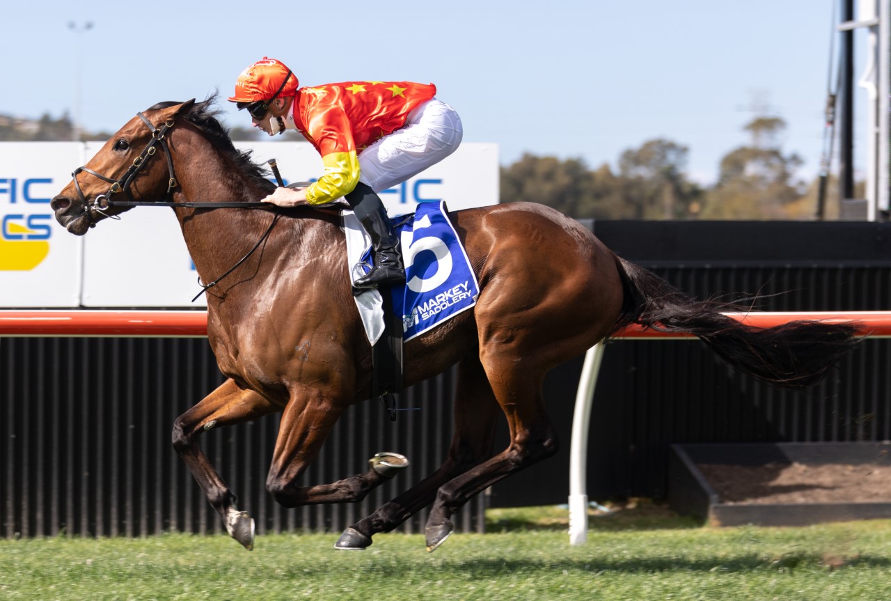 King Of Sparta (Photo: Steve Hart) | Ladbrokes.com.au
