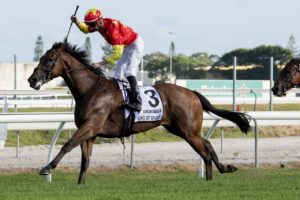 King Of Sparta (Photo: Steve Hart) | Races.com.au