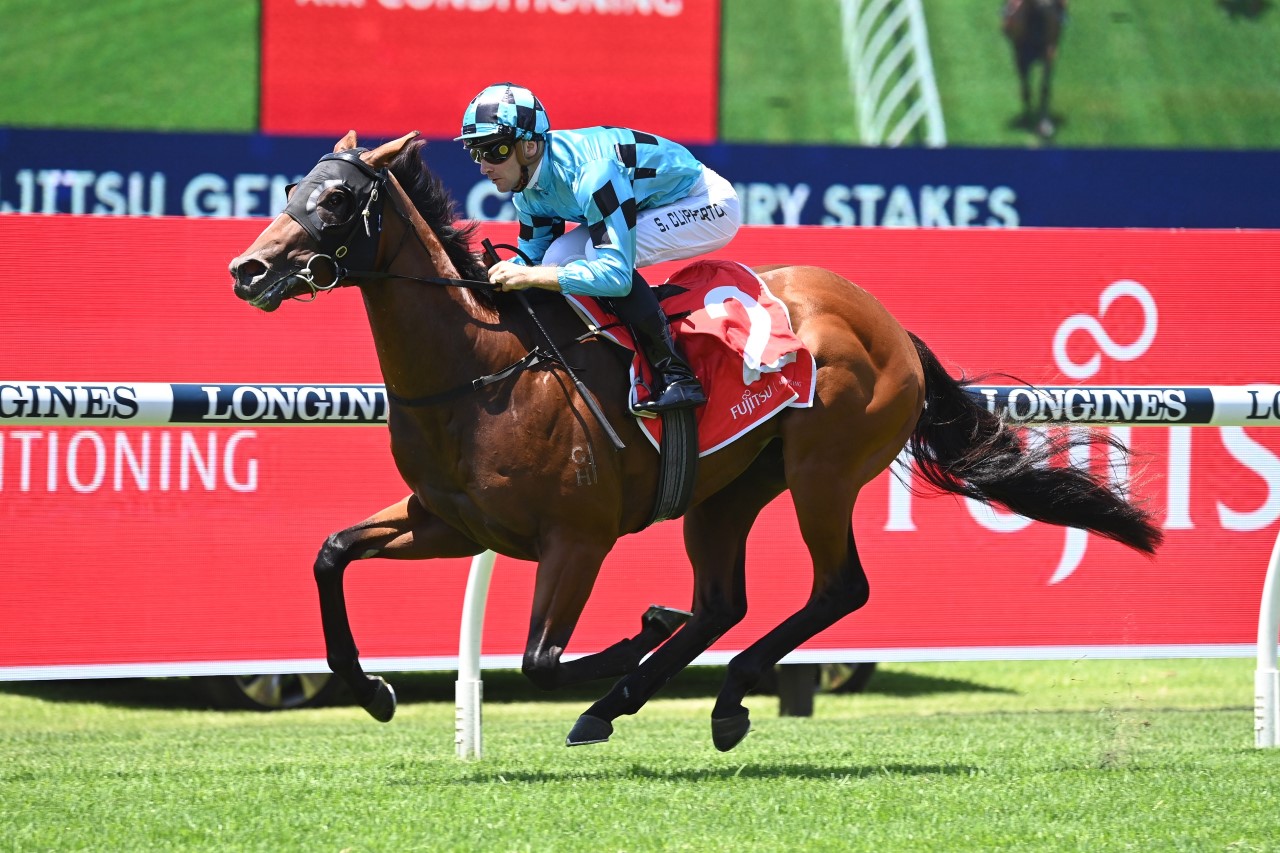Best Of Bordeaux (Photo: Steve Hart) | Races.com.au
