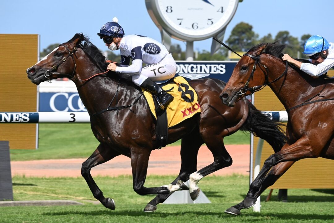 Doomben Racecourse - Brisbane Racing