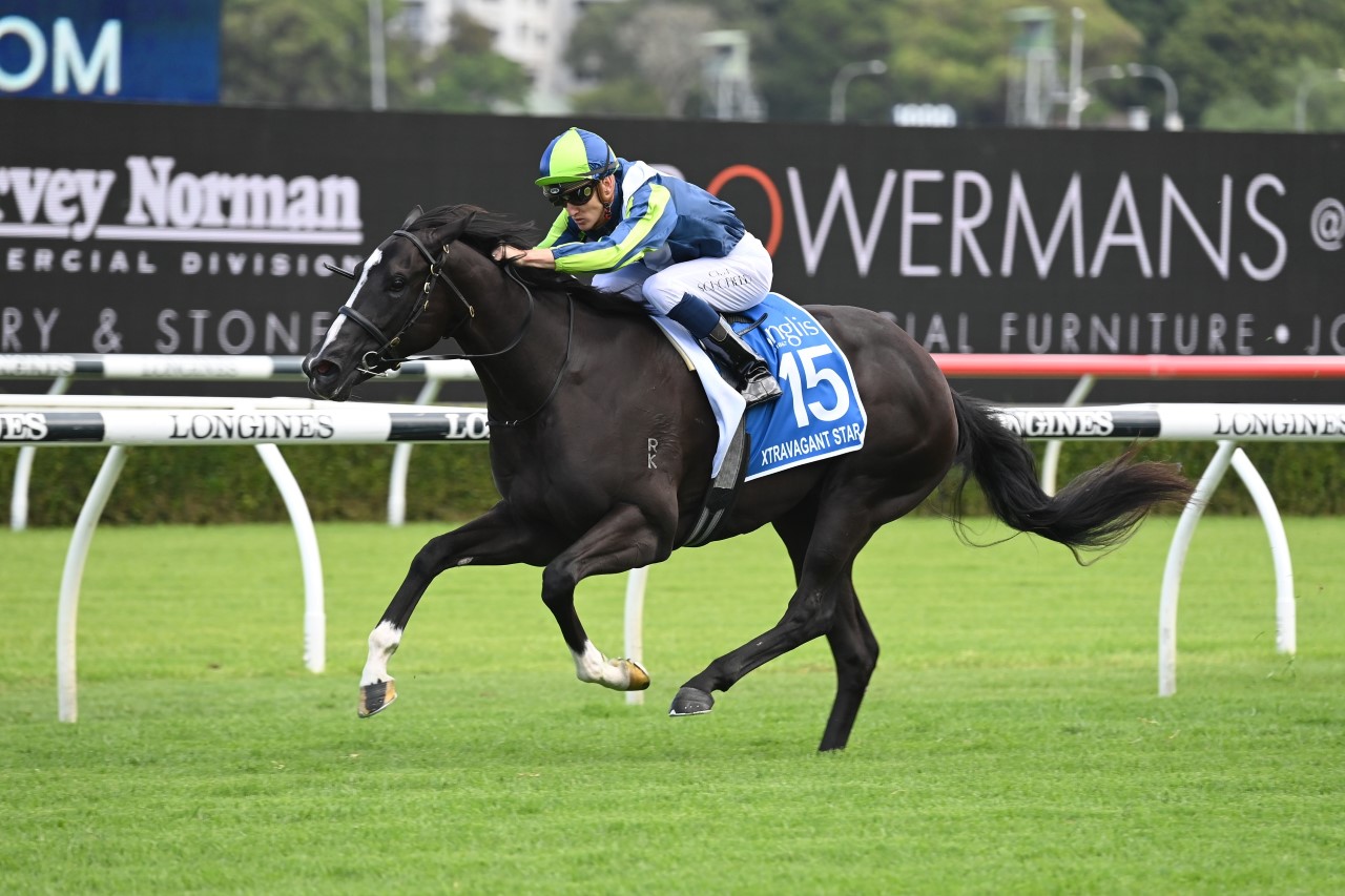 Xtravagant Star (Photo: Steve Hart) | Races.com.au