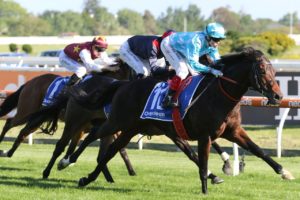 Sinawann (Photo: Ultimate Racing Photos) | Horseracing.com.au