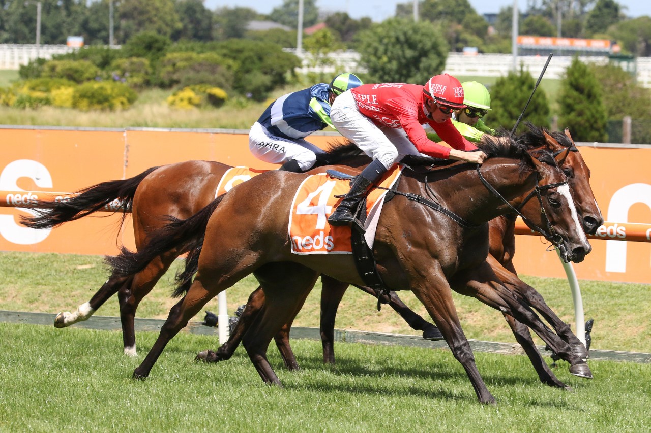 Revolutionary Miss (Photo: Ultimate Racing Photos) | Races.com.au
