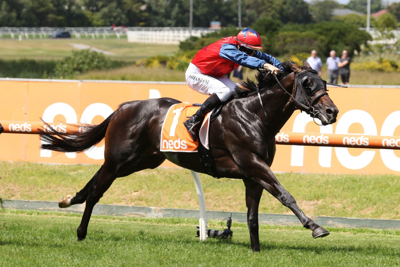 Finance Tycoon | Photo: Ultimate Racing Photos | Races.com.au