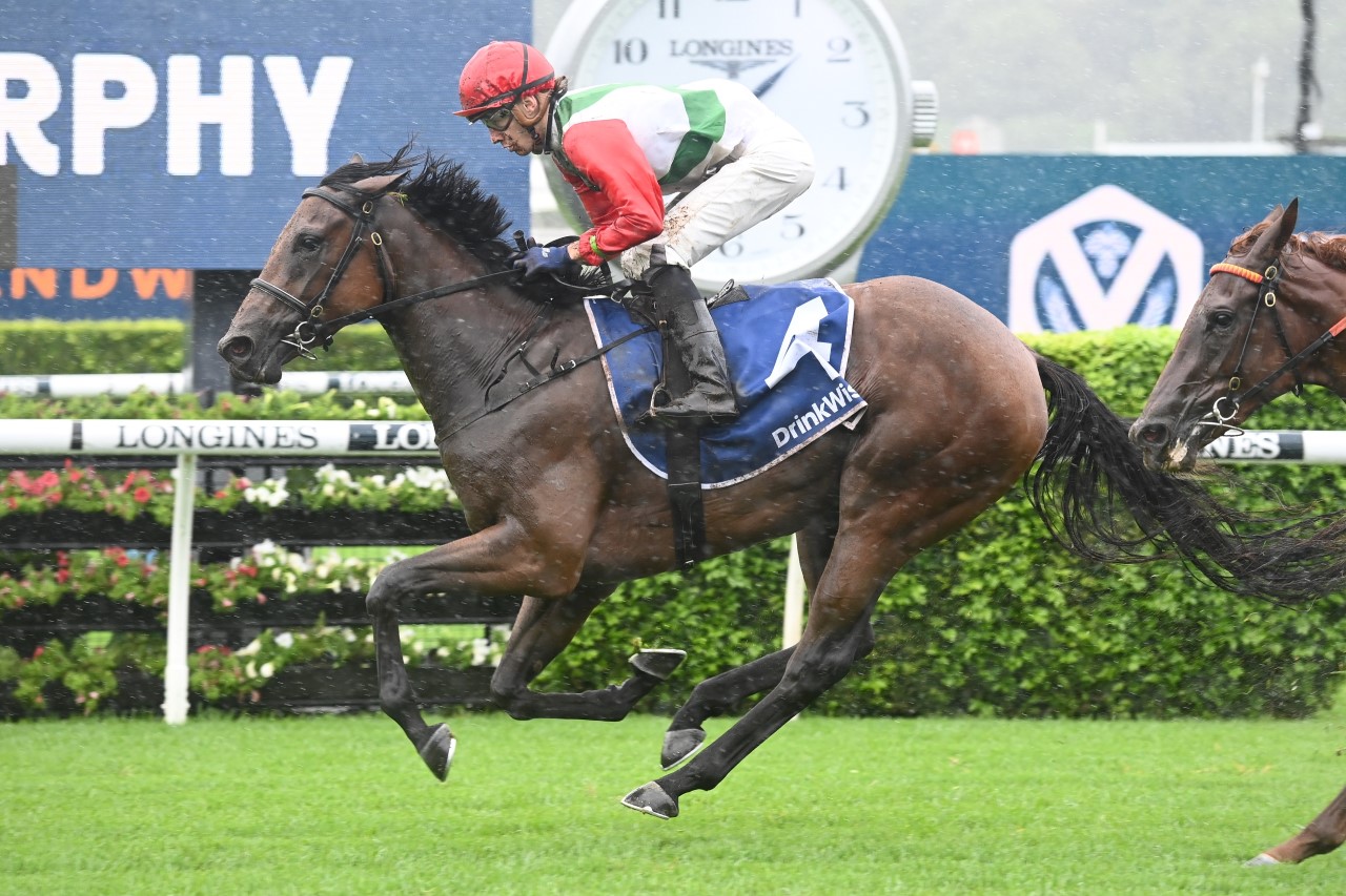 Fireburn | Photo: Steve Hart | Races.com.au