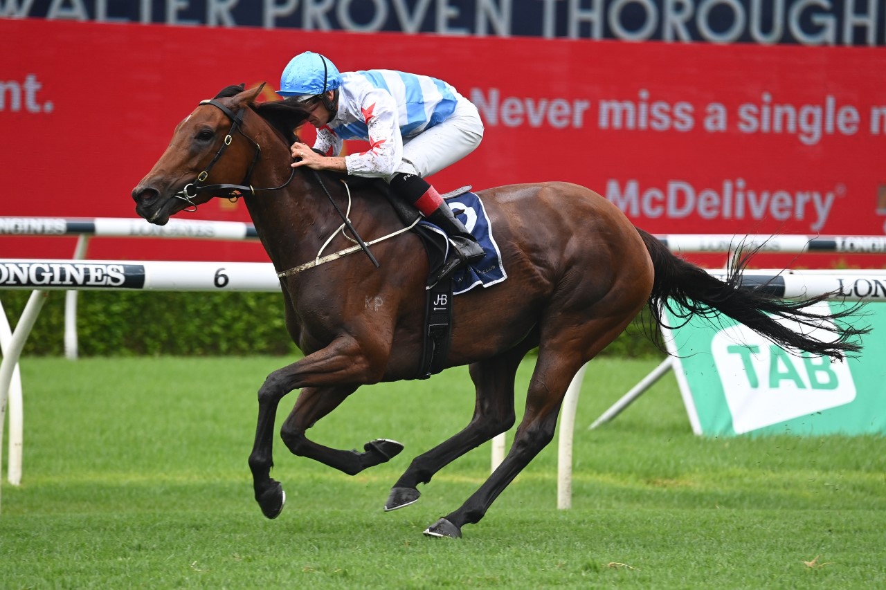 Forbidden Love | Photo: Steve Hart | Races.com.au