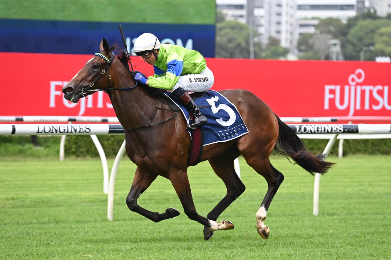 Seven Veils | Photo: Steve Hart | Races.com.au
