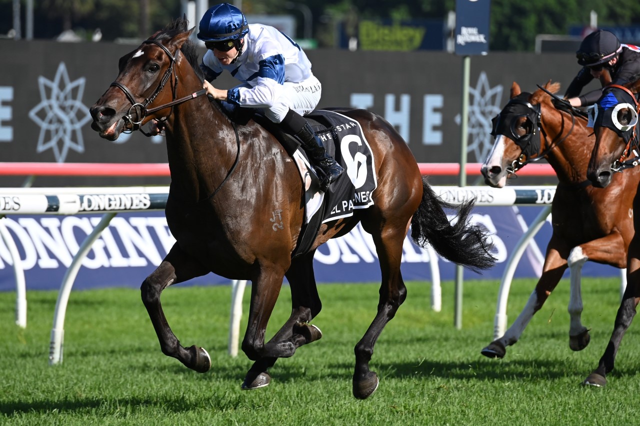 El Patroness | Photo: Steve Hart | Races.com.au