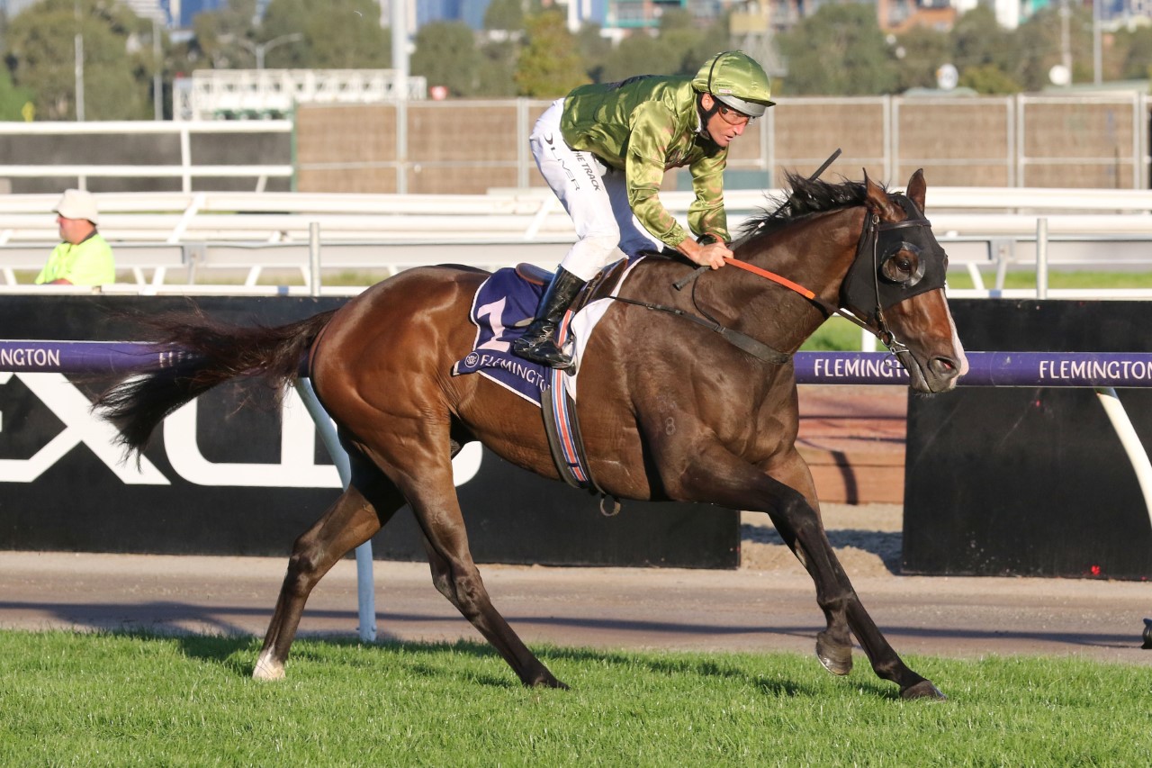 Alegron | Photo: Ultimate Racing Photos | Races.com.au