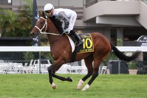 Glint Of Hope | Photo: Jenny Barnes | Races.com.au