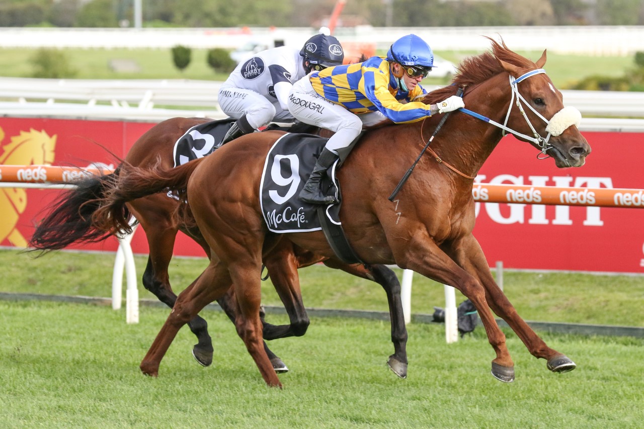 Oxley Road | Photo: Ultimate Racing Photos | Races.com.au
