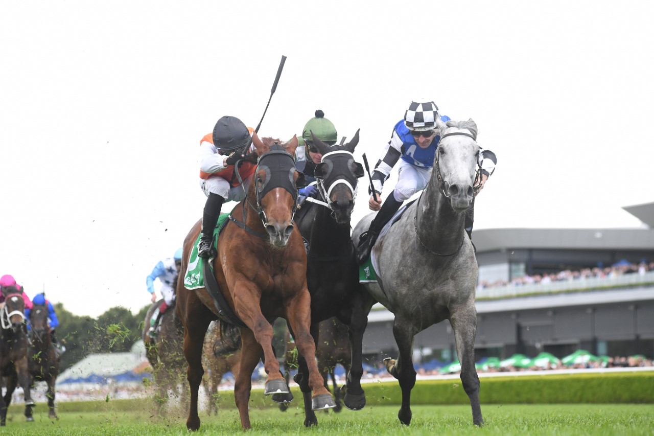 2022 Epsom Handicap Results