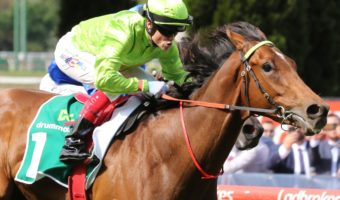 2026 Adelaide Cup Field & Betting Update