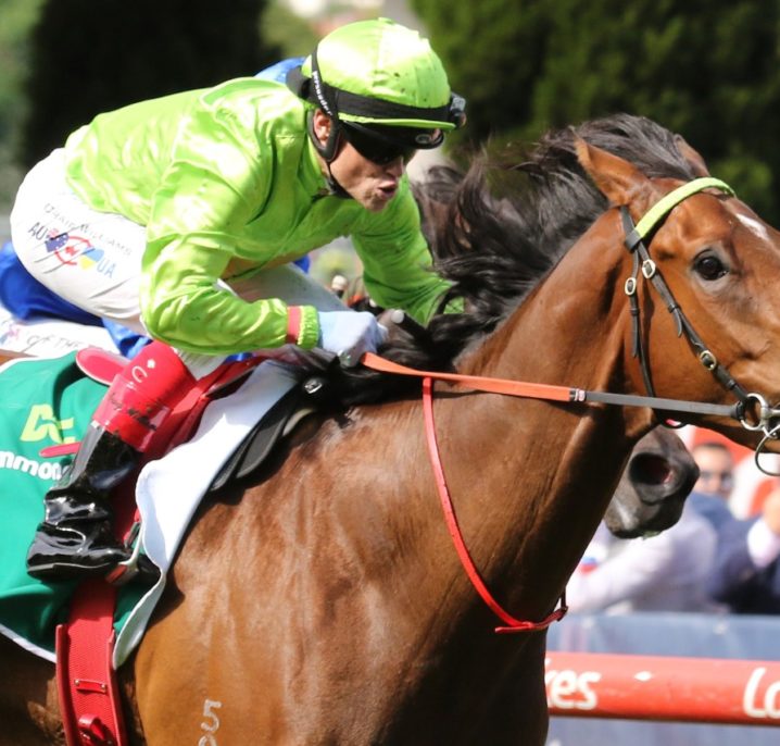 2026 Adelaide Cup Field & Betting Update