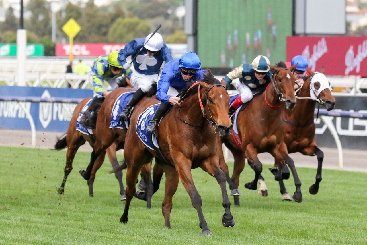 In Secret | Photo: Ultimate Racing Photos | Races.com.au